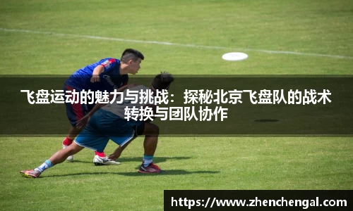 飞盘运动的魅力与挑战：探秘北京飞盘队的战术转换与团队协作