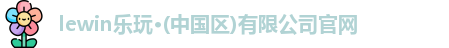 乐玩国际